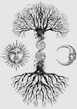 albero DNA
