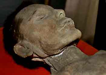 mummie museo gorini