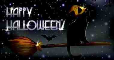 gatto strega halloween