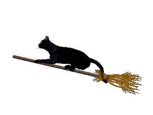 gatto strega halloween