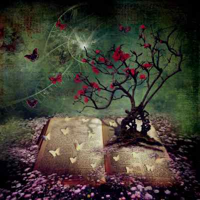 magic book