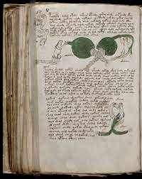 manoscritto voynich