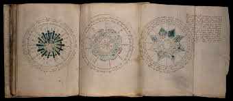 manoscritto voynich