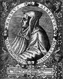 albertus magnus