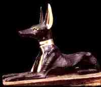 anubis