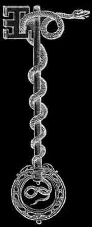 chiave con serpente attorcigliato