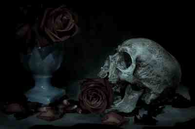 rose e teschio