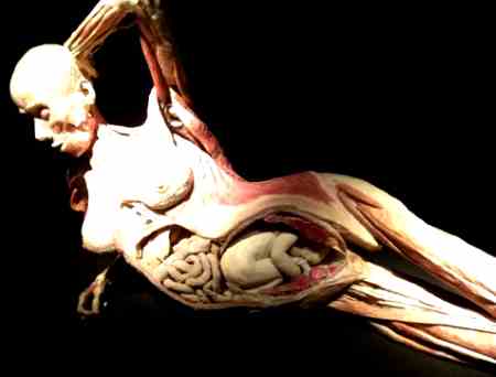 body art tribune