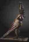 horus