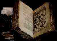 erbe magiche