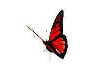 farfalla