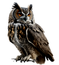 owl