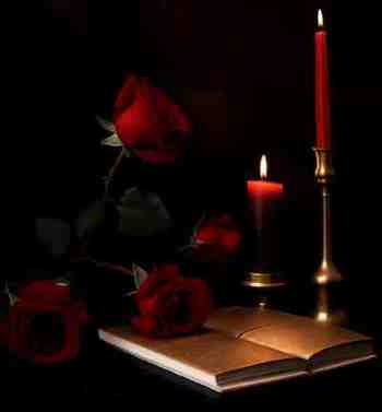 rose libro candele