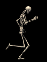scheletro che cammina