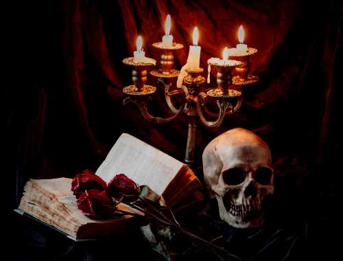 roses skull