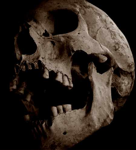 skull