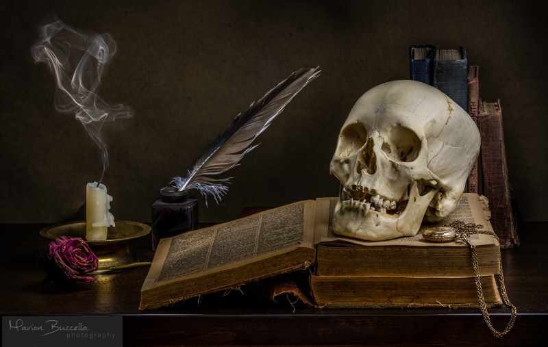 vintage skull - Maryon Buccella fotogtaphy