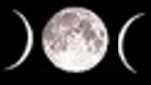 3 lune