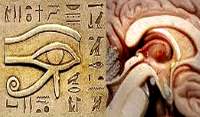 Occhio di Horus e la ghiandola Pineale