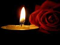 candle rose